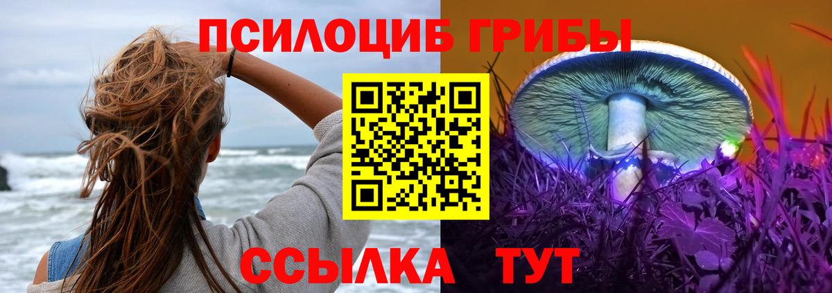 Галлюциногенные грибы ЛСД  купить наркотик  Всеволожск  Вход с VPN 